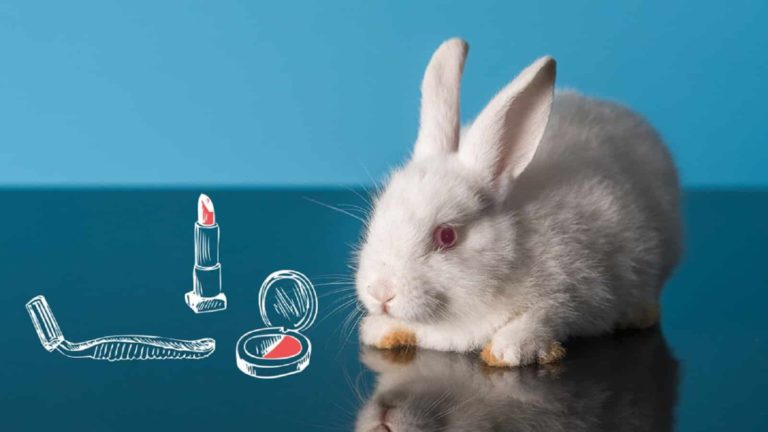 ¡Examen sorpresa! ¿Has revisado si los productos que usas son libres de crueldad animal?